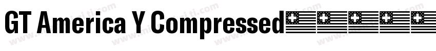 GT America Y Compressed字体转换